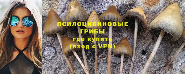экстази Алзамай