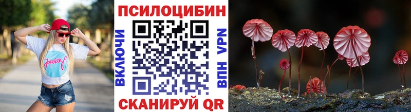 Псилоцибиновые грибы Magic Shrooms  сколько стоит  кракен ТОР  Гвардейск 